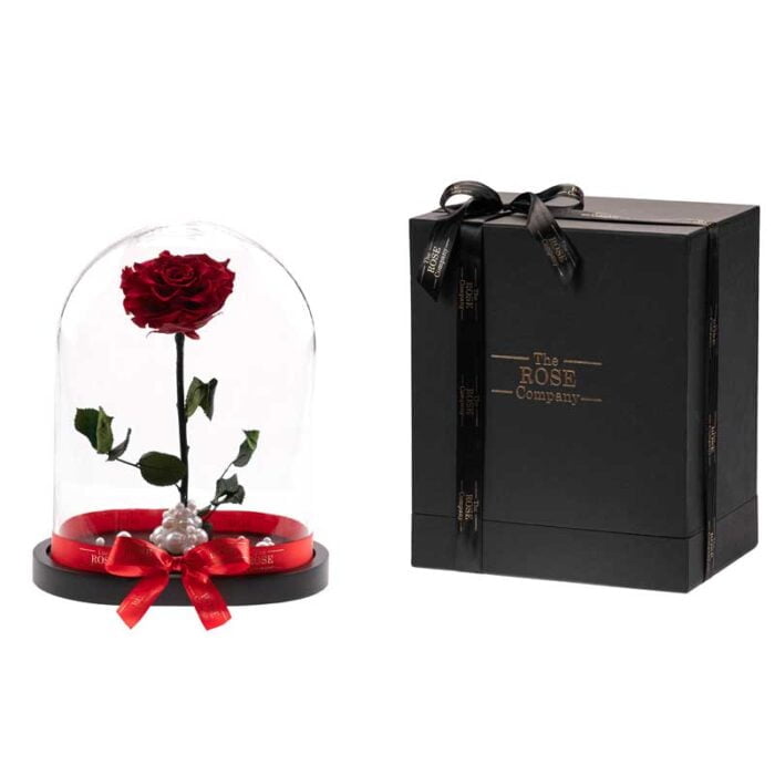 Beauty & The Beast Exclusive Xxl Dome Double Forever Roses Ροζ & Μαύρο Περιλαμβάνει Και Το Κουτί