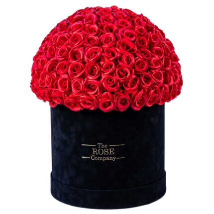 Infinity Roses Large Velvet Μάυρο Κουτί Με Κόκκινα Real Touch Τριαντάφυλλα Που Διαρκούν Για Πάντα 