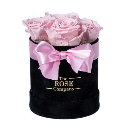 Forever Roses Babybox Black Velvet Box Pink Roses