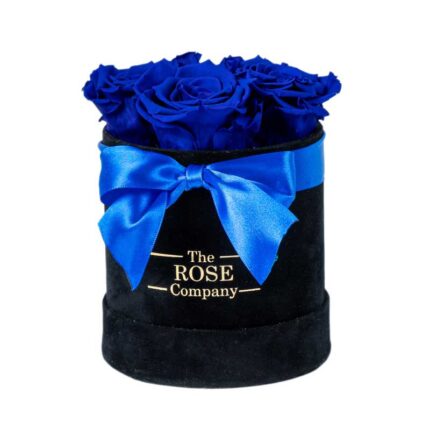 Forever Τριαντάφυλλα Baby Μαύρο Velvet Κουτί με Royal Blue Τριαντάφυλλα