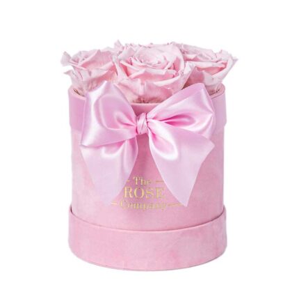 Forever Roses Babybox Pink Velvet Box Pink Roses