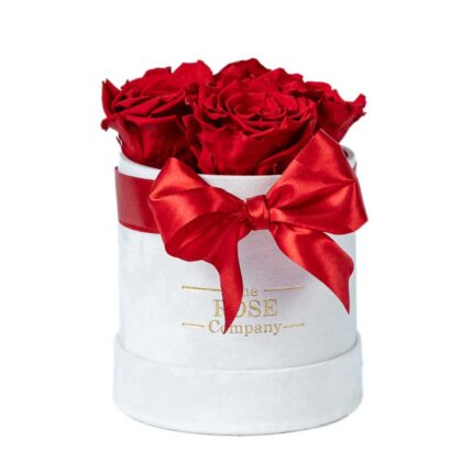 Forever Τριαντάφυλλα Baby Λευκό Velvet Κουτί με Red Τριαντάφυλλα
