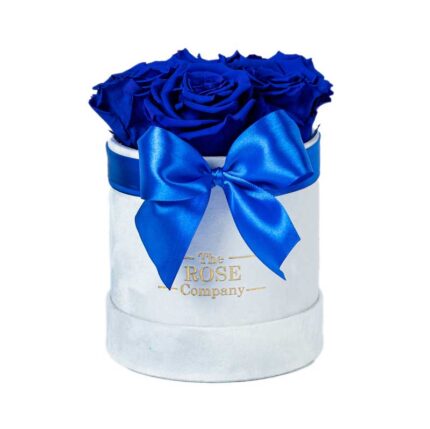 Forever Τριαντάφυλλα Baby Λευκό Velvet Κουτί με Royal Blue Τριαντάφυλλα