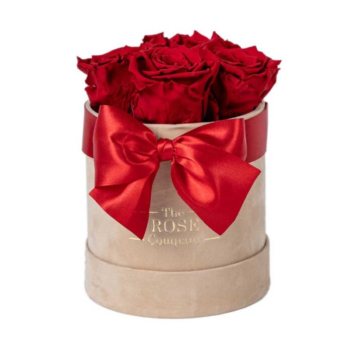Forever Roses Babybox Nude Velvet Box Red Roses