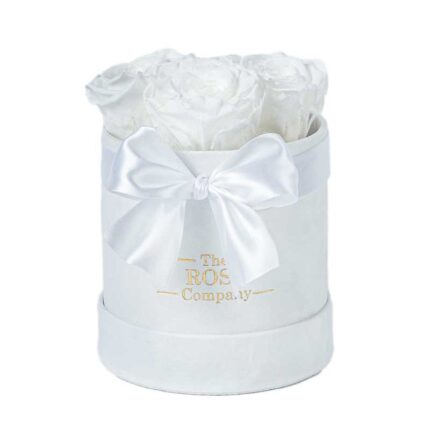 Forever Roses Babybox White Velvet Box White Roses