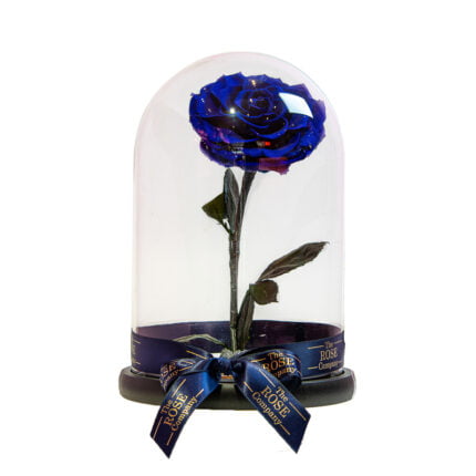Beauty And The Beast Small NEW XL Royal Blue Rose Box Included