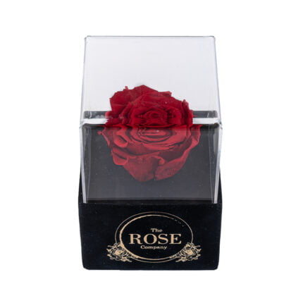NEW ακρυλικό μαύρο βελούδινο mini κουτί με κόκκινο τριαντάφυλλο