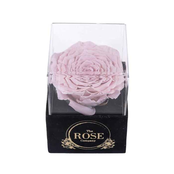 NEW ακρυλικό μαύρο βελούδινο mini κουτί με XL ροζ τριαντάφυλλο