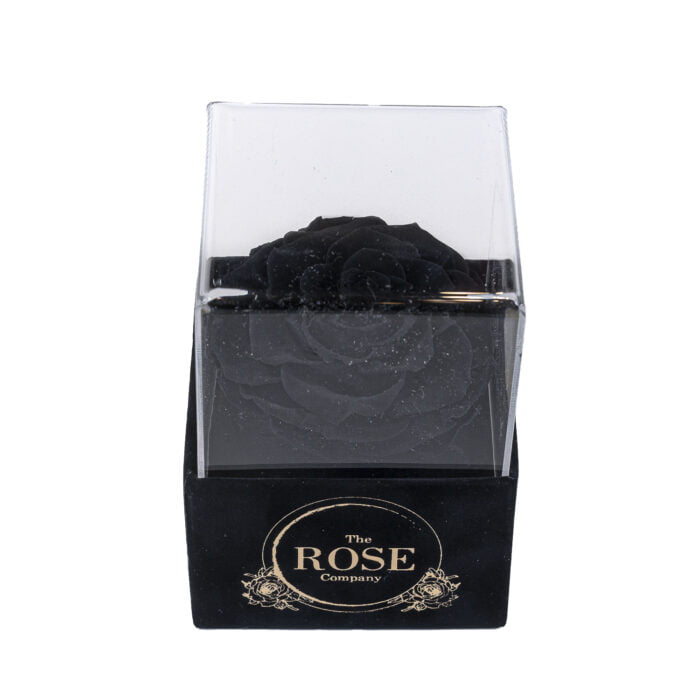 NEW ακρυλικό μαύρο βελούδινο mini κουτί με XL μαύρο τριαντάφυλλο