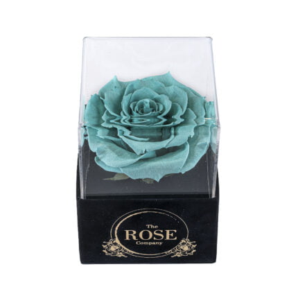 NEW ακρυλικό μαύρο βελούδινο mini κουτί με XL tiffany τριαντάφυλλο