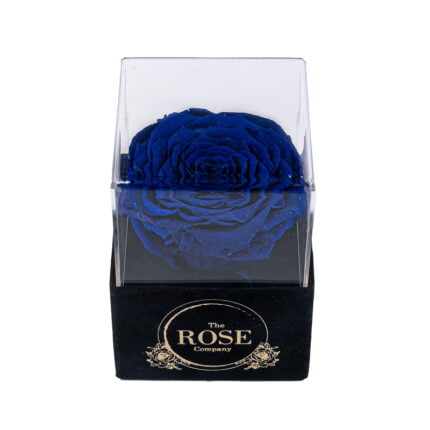 NEW ακρυλικό μαύρο βελούδινο mini κουτί με XL μπλε τριαντάφυλλο