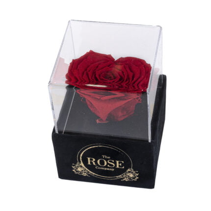 NEW ακρυλικό μαύρο βελούδινο mini κουτί με κόκκινο τριαντάφυλλο σε σχήμα καρδιάς