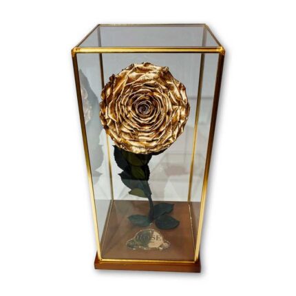 Beauty & The Beast «XXL» Gold Rose