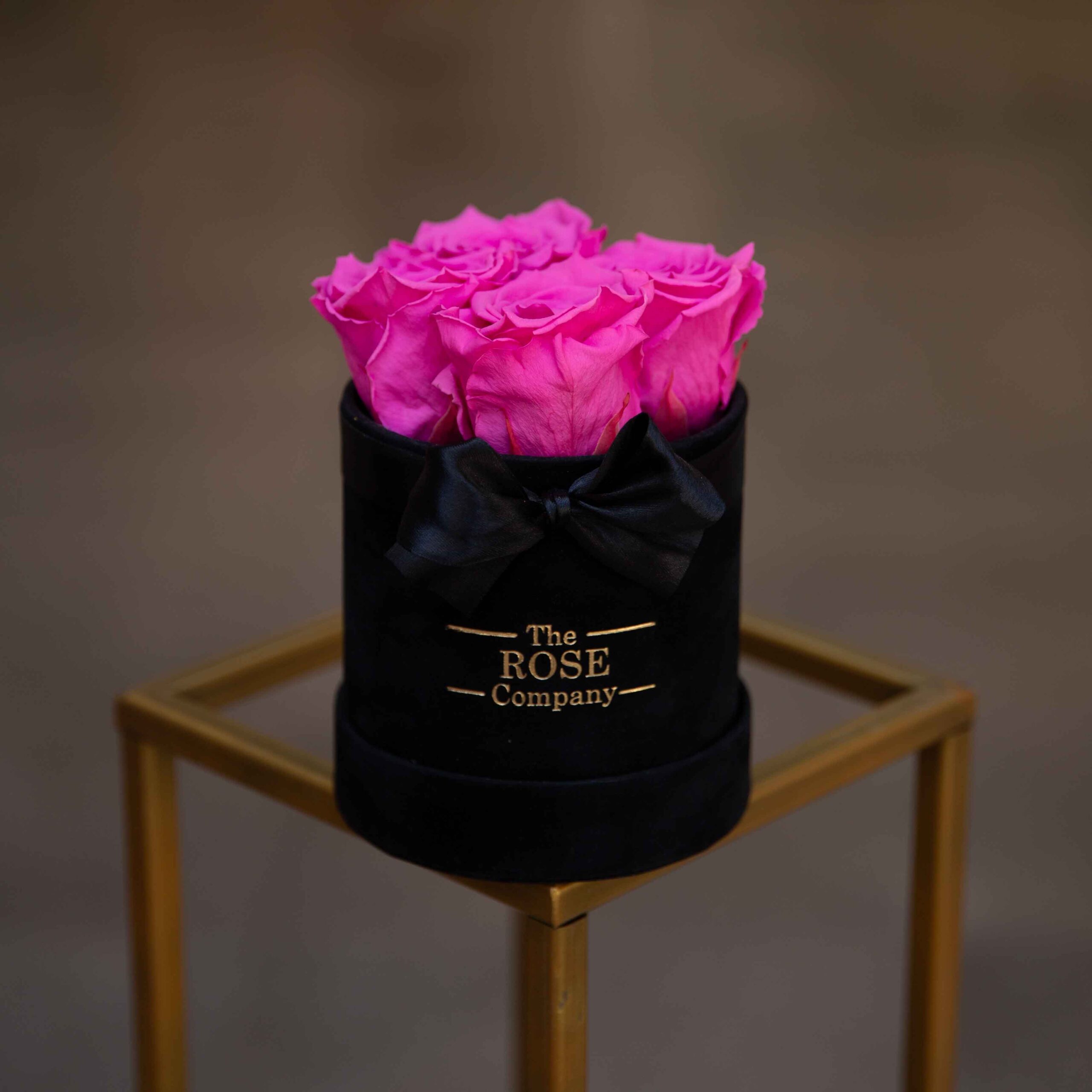 blackfouxb blackfouxb