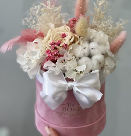 preserved baby dried flowers pink shade
