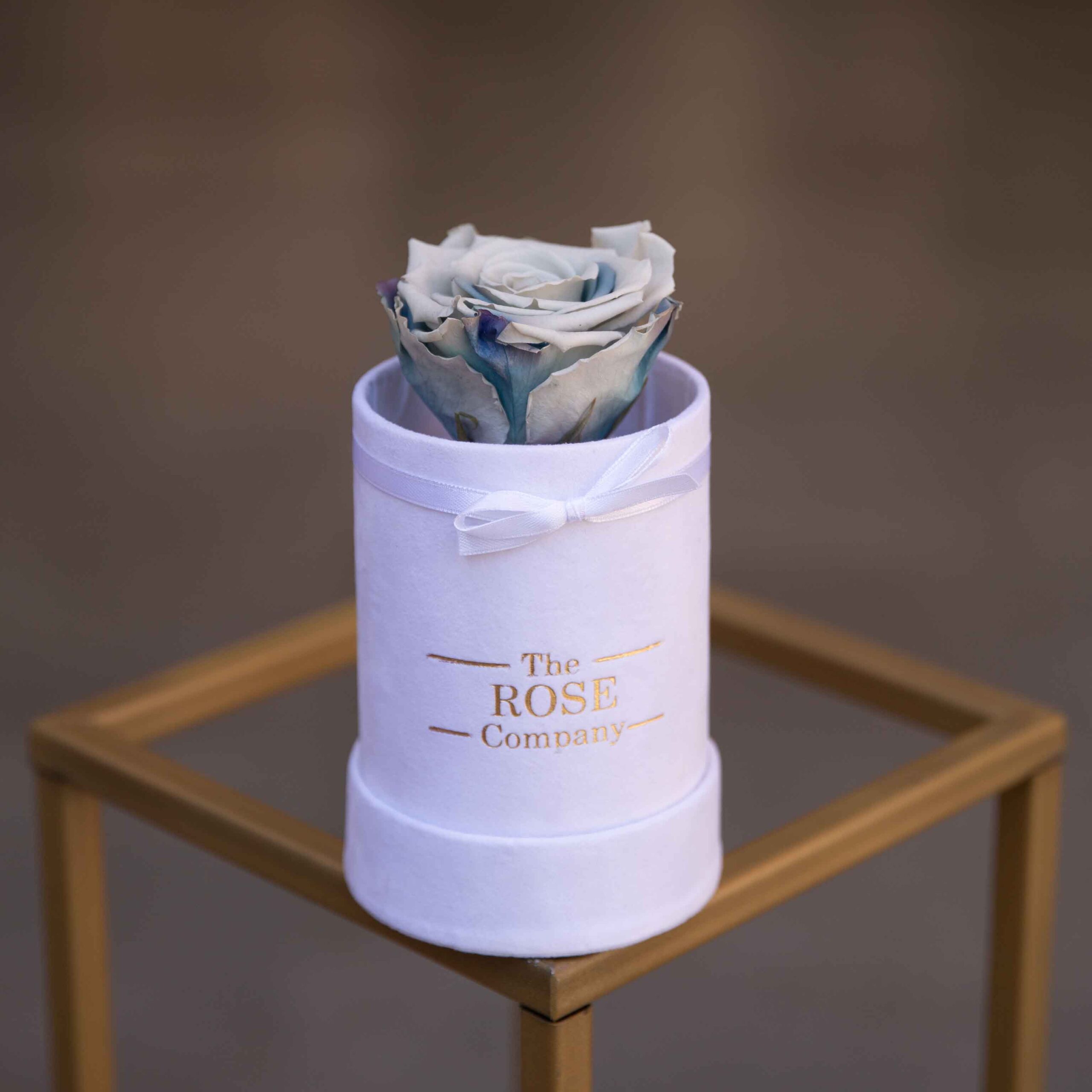 miniwhitegreyblue miniwhitegreyblue