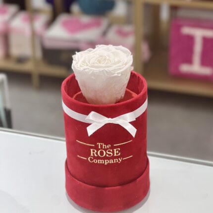 miniredboxwhiteforever