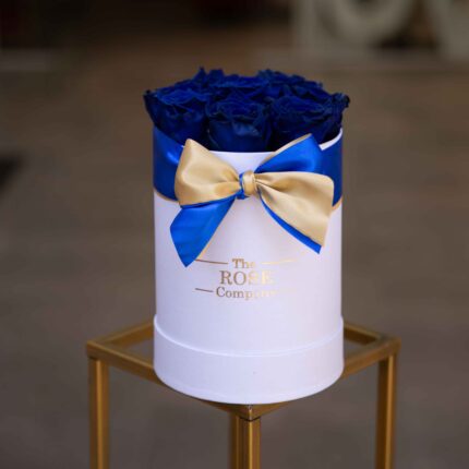 bluewhiteboxsmall