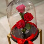 Beauty And The Beast NEW with 3 Red Roses. Includes the box. - Image 2