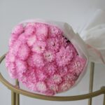 Pink Cloud - 11 Χρυσανθεμα