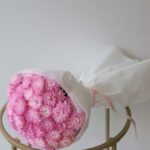 Pink Cloud - 11 Χρυσανθεμα - Image 2