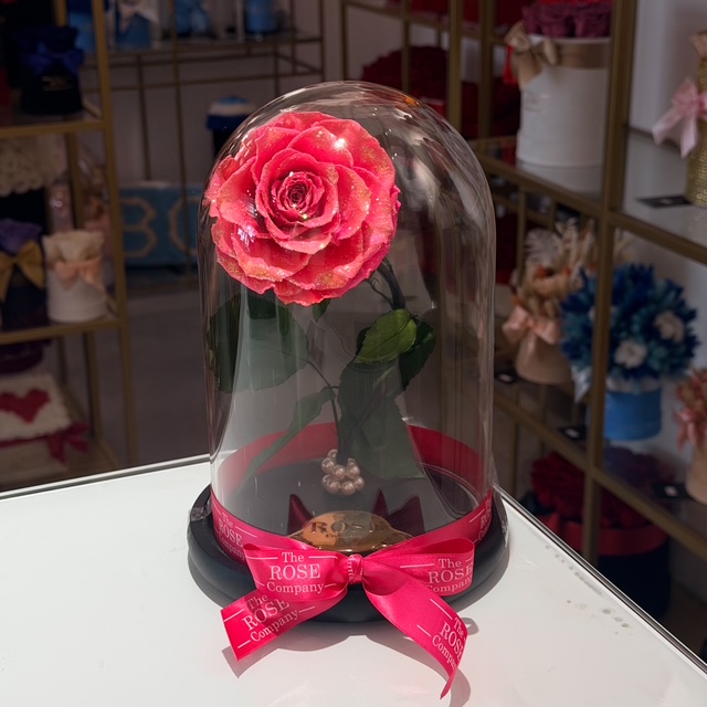 giala Beauty and the Beast με XL Φούξια Forever Rose - Image 1