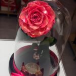 Beauty and the Beast με XL Φούξια Forever Rose - Image 2