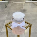 Baby Μπεζ Velvet Κουτί με Ασπρο Τριαντάφυλλο Forever